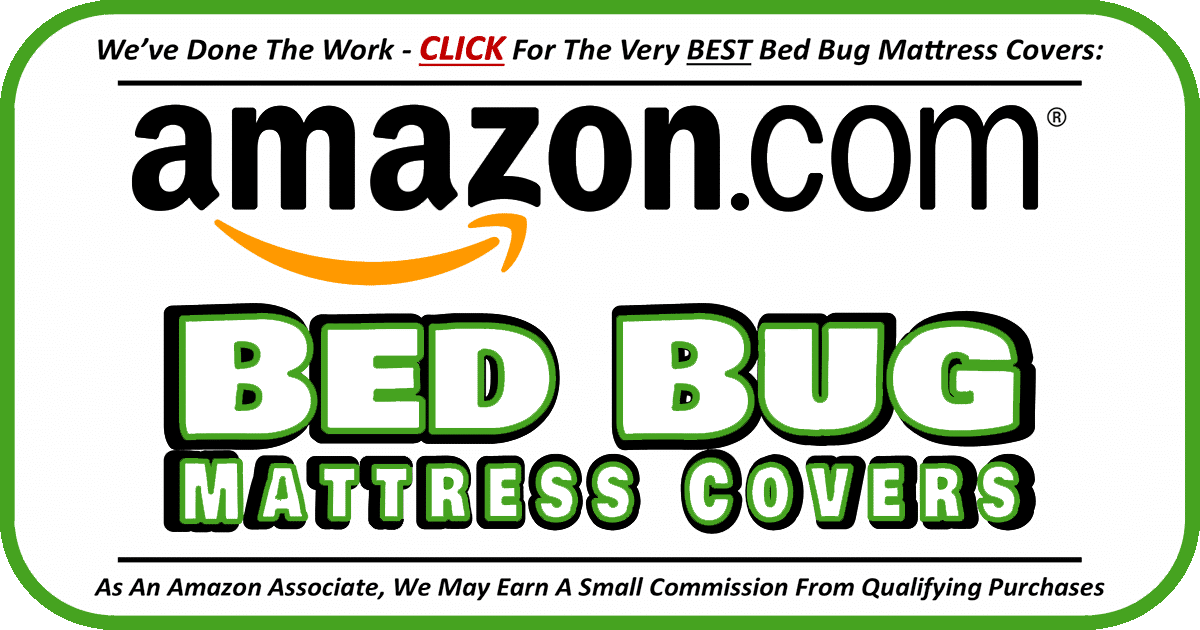 Best Bed Bug Mattress Covers On Amazon