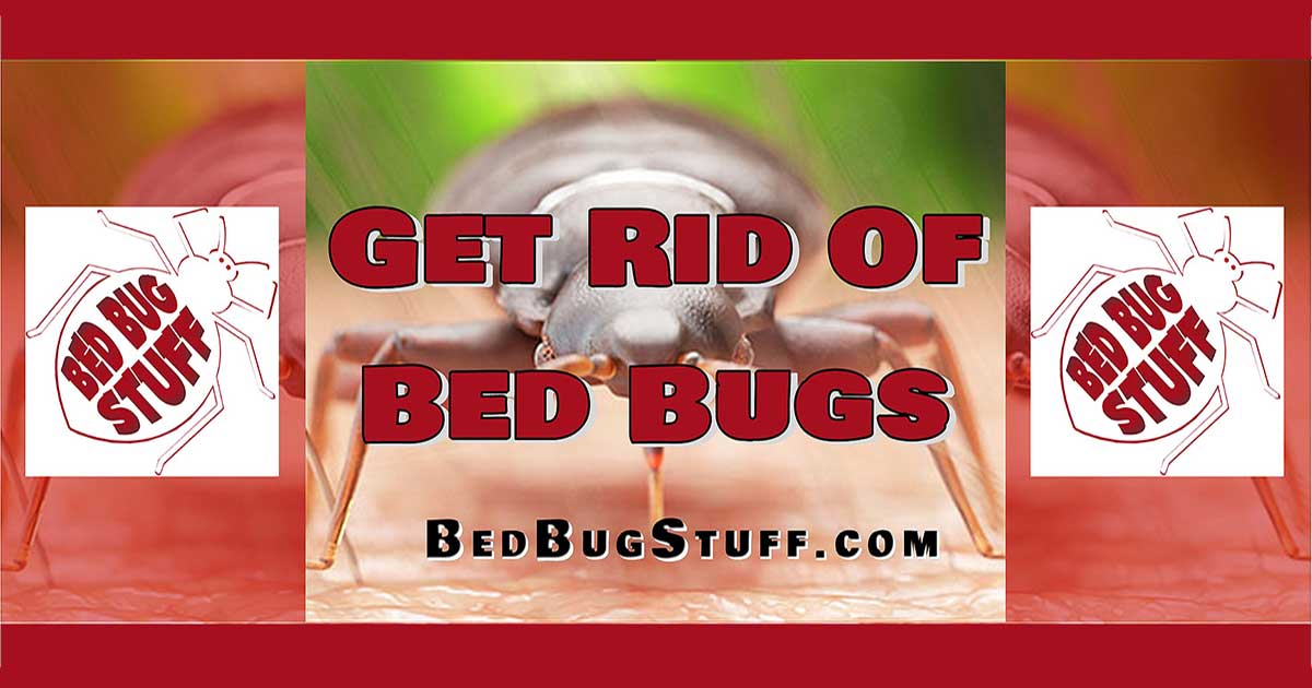 Get Rid Of Bed Bugs On Facebook