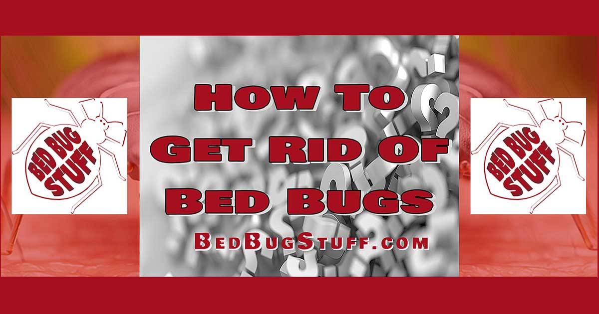 How To Get Rid Of Bed Bugs 1 Bed Bug Faq Free Shipping How To Get Rid Of Bed Bugs 1 Bed Bug Faq Free Shipping